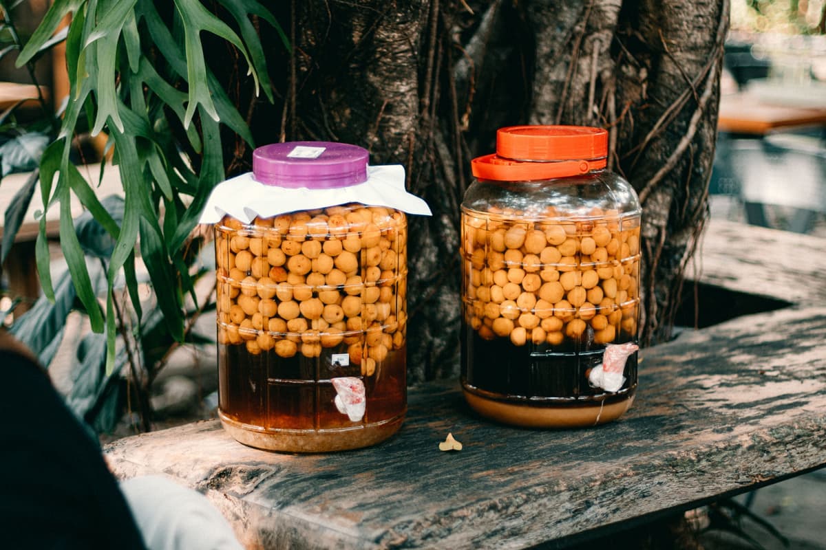 Jars of homemade fruit wine fermenting