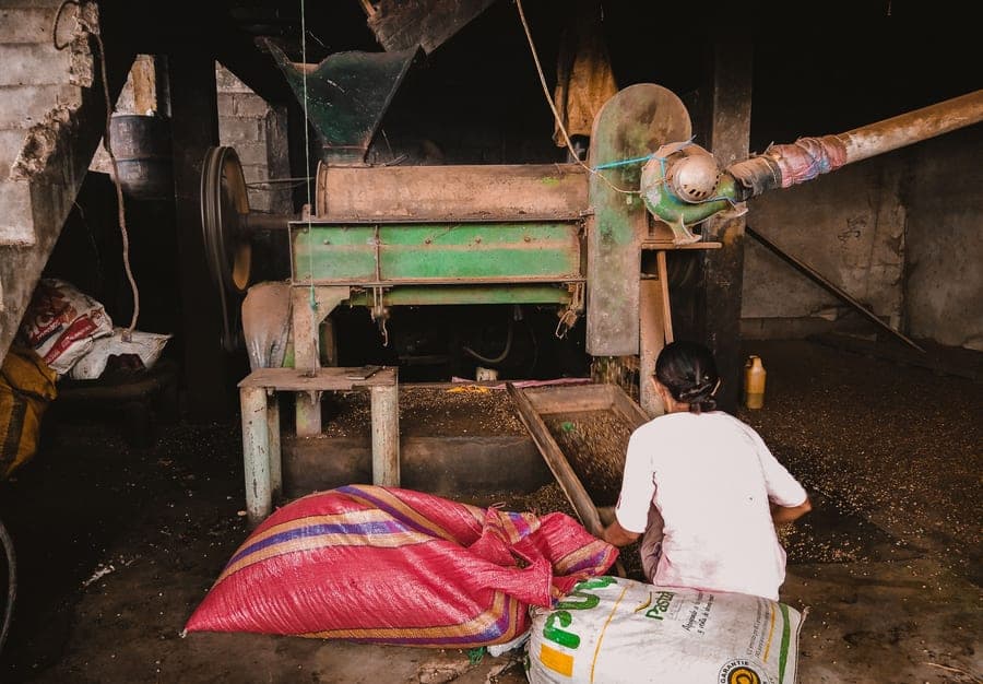 Budget three-roller grain mill with a hopper